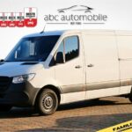 Sprinter Kasten 215 Kamera DAB 2x ST